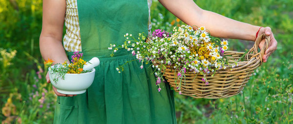 Midsection of woman holding potted plant