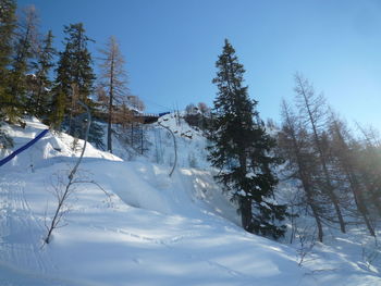 Snow covered land and trees against sky