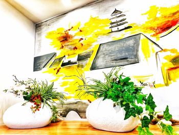 Close-up of yellow flowering plant on window of building