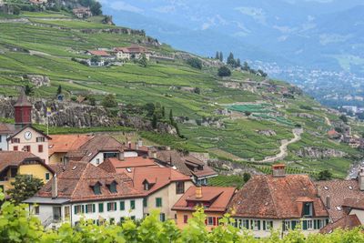 High angle view of houses and trees against sky