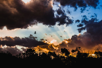 Low angle view of silhouette trees against sky during sunset