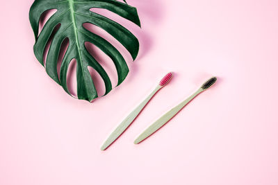 Zero waste bamboo toothbrush on pink background with green tropical monstera leaf