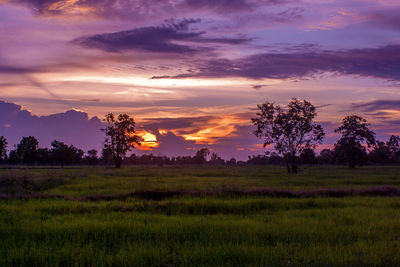 Scenic view of field against sky during sunset