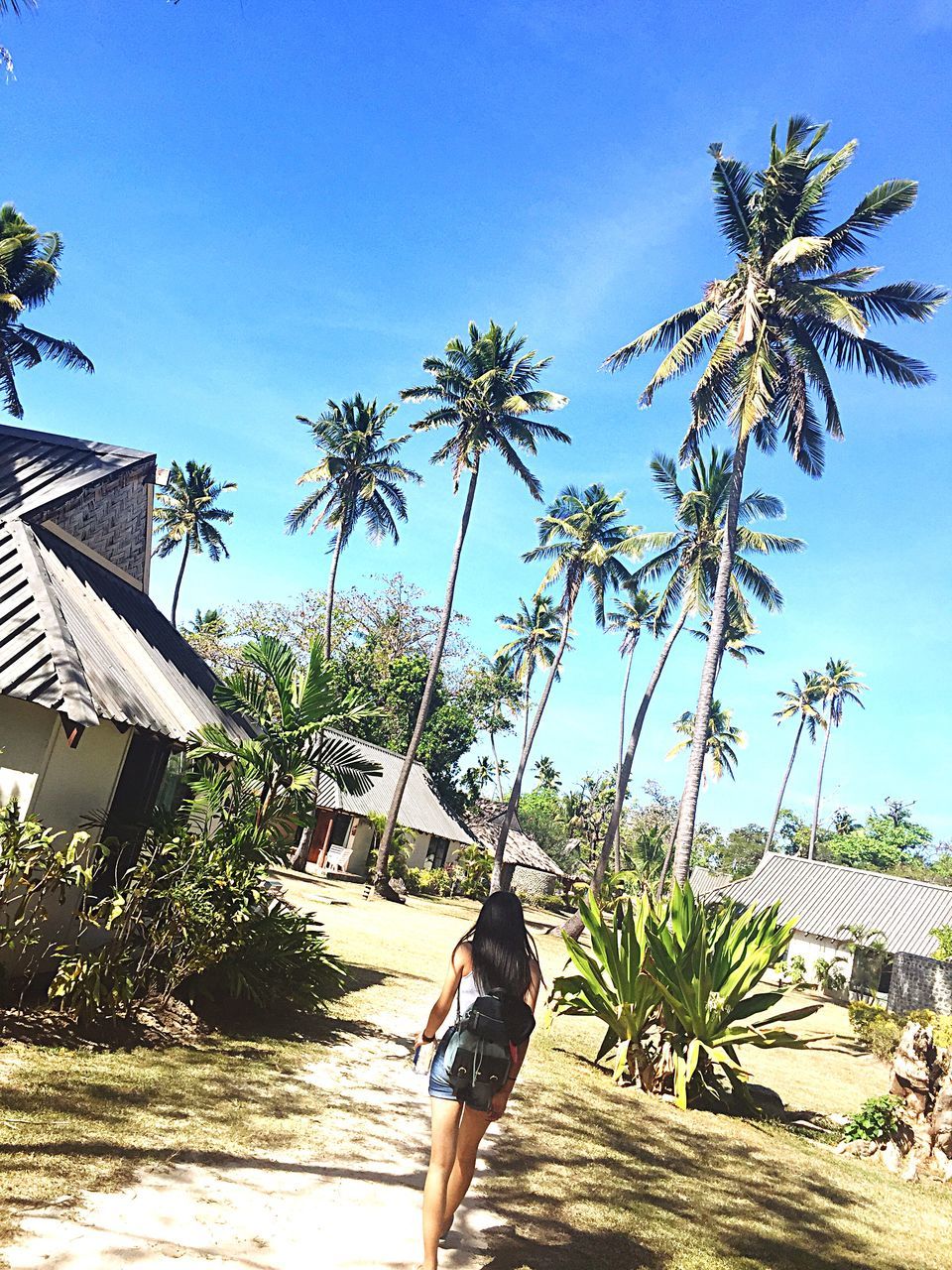 palm tree, tree, lifestyles, leisure activity, building exterior, clear sky, built structure, architecture, standing, sunlight, blue, growth, person, day, sky, casual clothing, outdoors, three quarter length