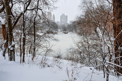 Scenic view of snow covered trees and buildings