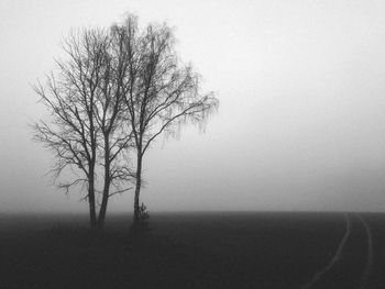 Bare tree on landscape against clear sky