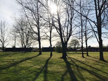 Bare trees on field against sky