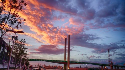 Low angle view of palm trees against sky at sunset
