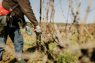 Low section of man holding plant