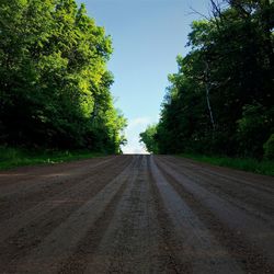 Empty road along trees