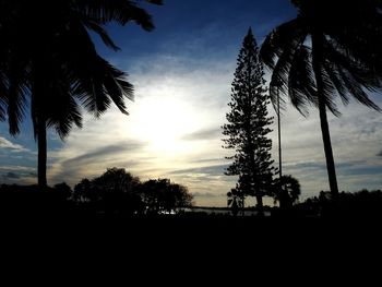 Low angle view of silhouette trees against sky during sunset