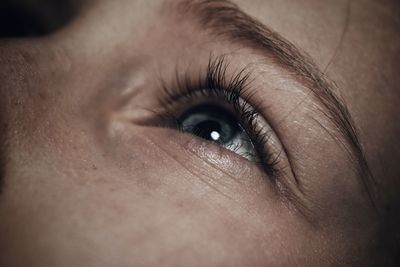 Close-up of human eye