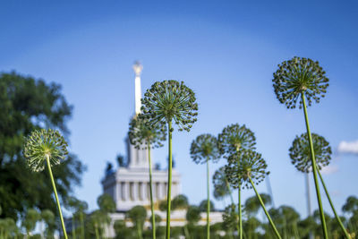 Low angle view of palm trees against blue sky