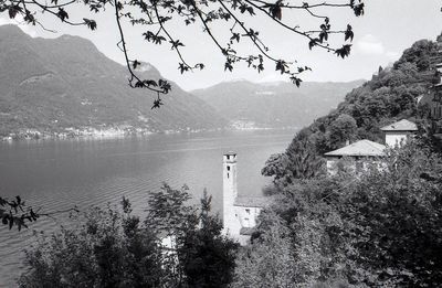 High angle view of trees on beach against sky