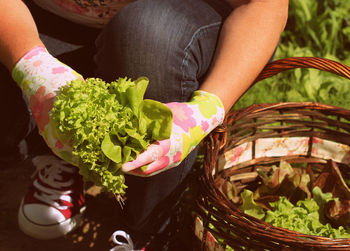 Midsection of woman holding leaves in basket