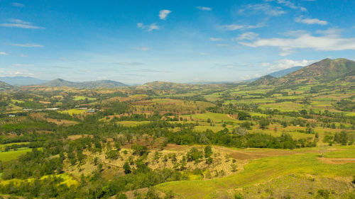 Farmland with growing crops of rice, vegetables and sugar cane in a mountain valley. 