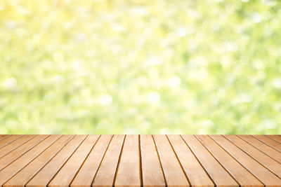 Close-up of wood in park