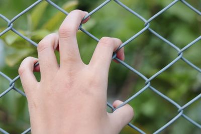 Close-up of hand holding chainlink fence