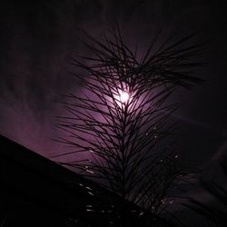 Low angle view of illuminated lights at night