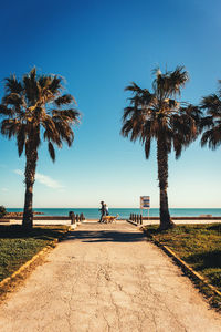 Palm trees on beach against clear blue sky