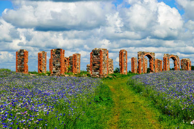 Landscape with colorful cornflowers and the ruins of an old barn, made of boulders and red bricks