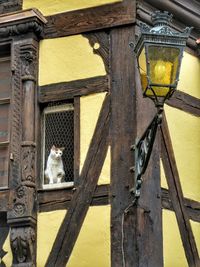 Bird perching on building