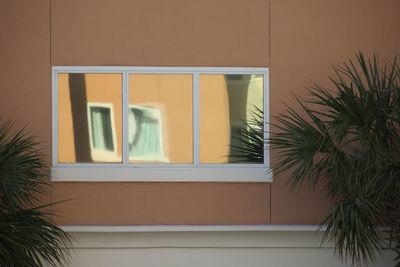 Close-up of window at home