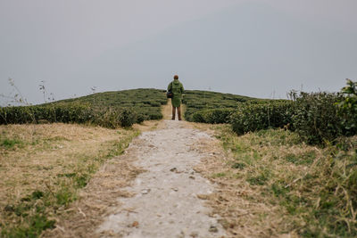 Rear view of man standing on land