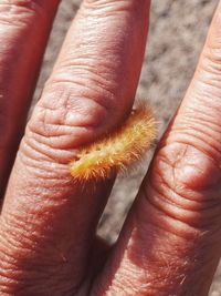 Close-up of person holding hands