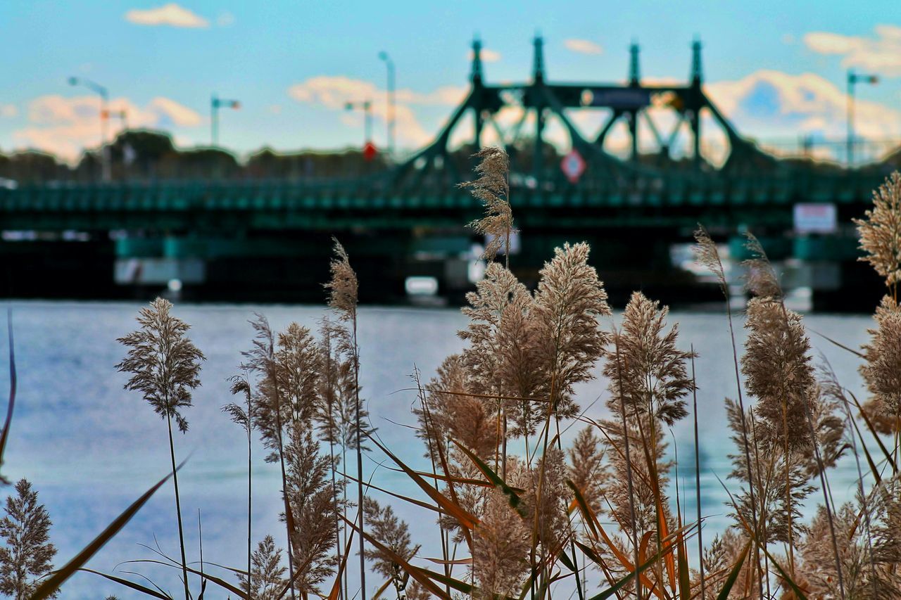 City island bridge