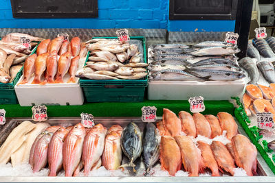 Red mullet, snapper and other fish for sale at a market in brixton, london