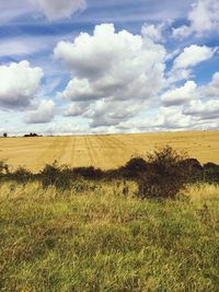 Scenic view of field against cloudy sky