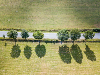 Trees on field against sky