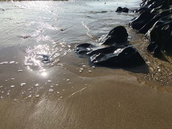 Scenic view of beach