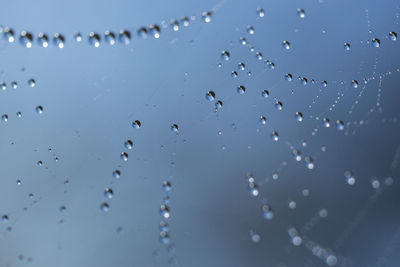 Close-up of water drops on spider web against sky