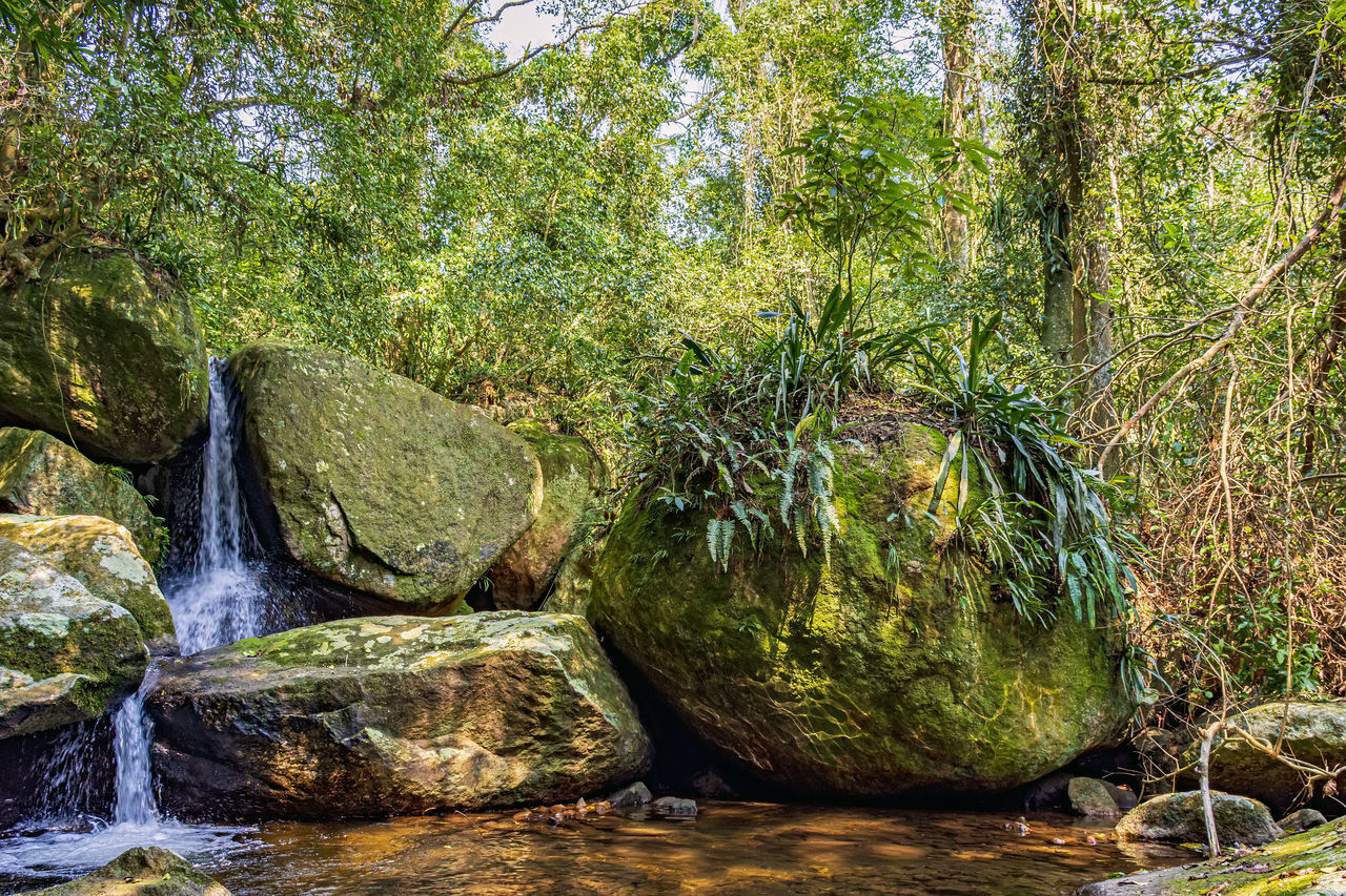 WATER FLOWING THROUGH ROCKS AT FOREST