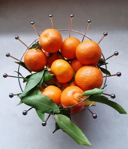 Close-up of oranges growing on tree