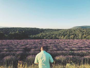 Rear view of mid adult man standing at lavender farm against clear sky
