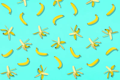 Close-up of leaves over colored background