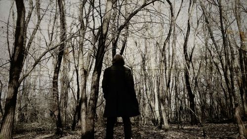 Rear view of woman standing against bare trees