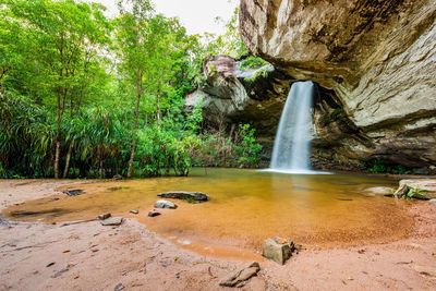 Scenic view of waterfall in forest