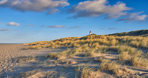 Scenic view of sand against sky at beach