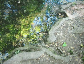 Close-up of rocks in water