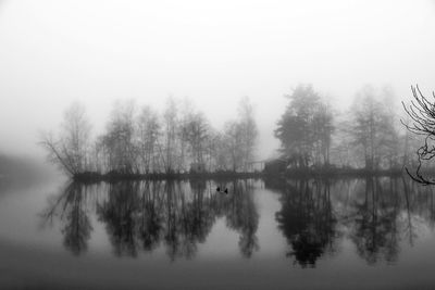 Reflection of trees in lake against sky during foggy weather