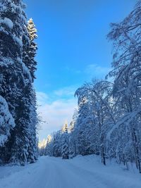 Snow covered land against blue sky