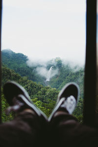 Low section of person by trees on land against sky