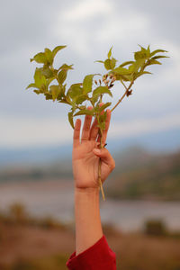 Midsection of person holding plant against sky