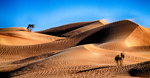 Scenic view of desert against clear sky