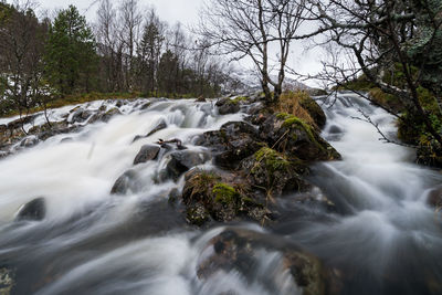 Scenic view of waterfall in forest against sky