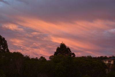 Trees against cloudy sky at sunset